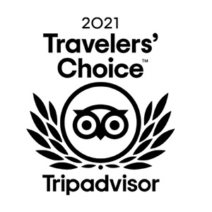 Tripadvisor awards Website