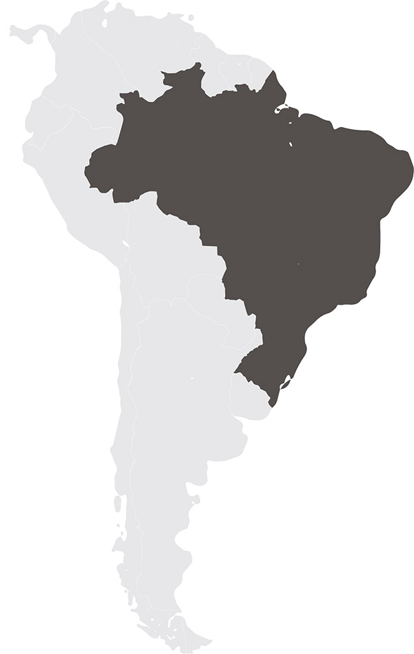blends Brazil