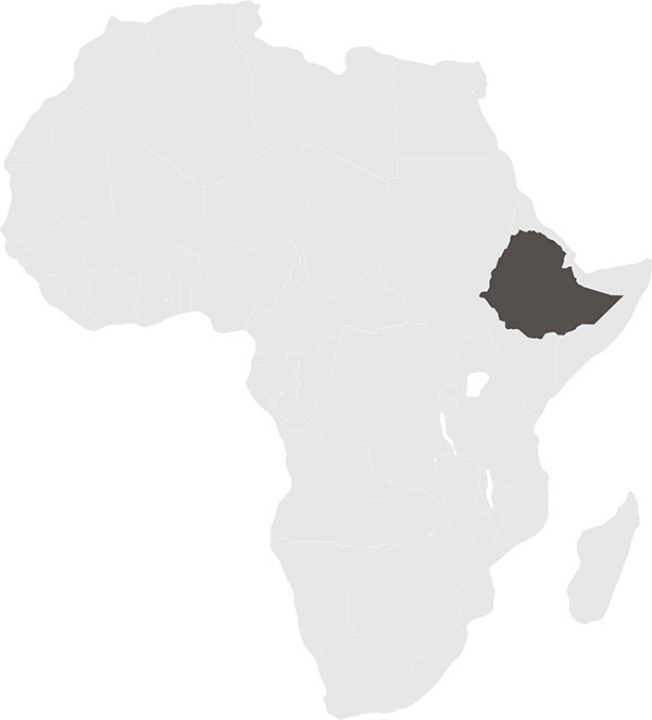 blends Ethiopia
